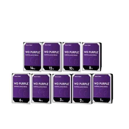 SecureStore 2TB Surveillance HDD